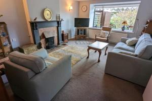 a living room with two couches and a fireplace at Stoney Grove - Ring of Kerry in Cahersiveen