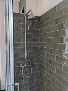 a shower with a shower head in a bathroom at Choisy-le-Roi : luxe olympique in Choisy-le-Roi