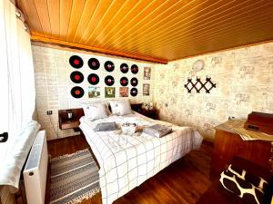 1 dormitorio con 1 cama con discos en la pared en HOUSE OF MIKA, en Ruse