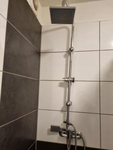 een douche met een douchekop in de badkamer bij City-Apartment in Krefeld, Küche, nähe Düsseldorf Messe in Krefeld