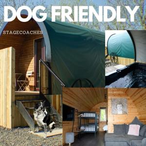 een collage van foto's met een hond in een tent bij Dog Friendly Stagecoach Glamping Pod with Hot Tub in Kingsley