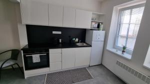 Kuchyň nebo kuchyňský kout v ubytování Apartmány Atrium