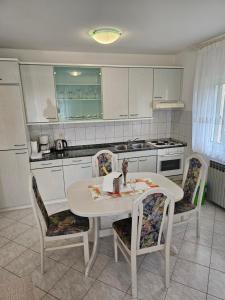 Kuchyň nebo kuchyňský kout v ubytování Jednosobni apartman Dionis