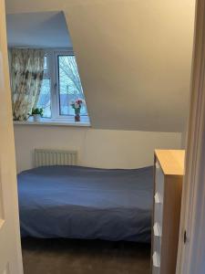 a bedroom with a blue bed and a window at Single room in shared flat Valley Hill, Loughton in Loughton