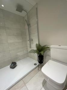 La salle de bains est pourvue d'une douche, de toilettes et d'une plante. dans l'établissement The Studio, à Appledram