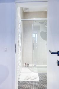 een badkamer met een douche en een glazen deur bij 2-BR Haven in Antwerp in Antwerpen