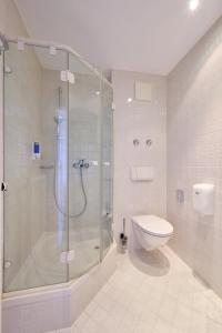 a bathroom with a shower and a toilet at Tafernwirtschaft Hotel Schönbrunn in Landshut