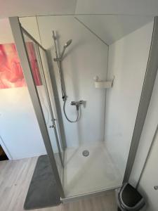 La salle de bains est pourvue d'une douche avec une porte en verre. dans l'établissement Ferienwohnung Anni, à Dörfles