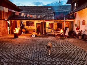 a dog walking in the courtyard of a building at VIP Suite - Game Changer Hof in Eging am See