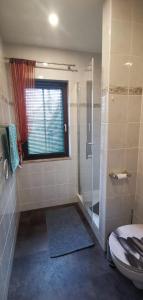 a bathroom with a shower and a toilet and a window at Chill Haus mit Sauna und Kamin in Groß Kreutz