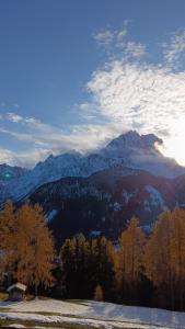 a snow covered mountain with trees in the foreground at Kofelhof in Sesto