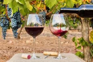 two wine glasses sitting on a table in front of grapes at Elegant seaview apartment Praia da Rocha in Portimão