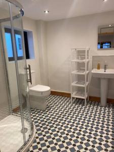 een badkamer met een douche, een toilet en een wastafel bij The Cartlodge, Debenham in Debenham