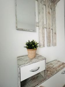 a console table with a plant on top of it at Apartment Weikersheim III in Weikersheim