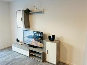 TV a/nebo společenská místnost v ubytování Apartment Weikersheim III