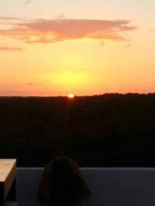 een persoon kijkt naar de zonsondergang vanaf een balkon bij The spot in Tarpon Bay in San Pedro