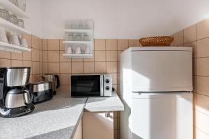 Ferienwohnung Bolanz في أوغين: مطبخ مع مايكرويف وثلاجة