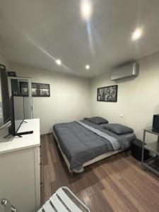 カンヌにあるレジデンス ガンベッタのベッドルーム(ベッド1台、テレビ付)