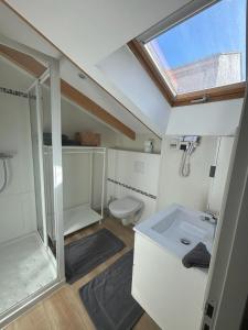 La salle de bains est pourvue de toilettes, d'un lavabo et d'une douche. dans l'établissement Résidence Gambetta, à Cannes