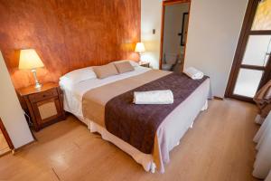ein Schlafzimmer mit einem großen Bett in einem Zimmer in der Unterkunft Hotel Naturaleza Vertientes de Elqui in El Molle