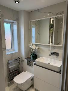 a bathroom with a toilet and a sink and a mirror at The JN Grove in Peterborough