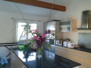 eine Küche mit einer Vase aus Blumen auf der Theke in der Unterkunft maison de rêve dans un écrin de verdure au calme in Eccica-Suarella