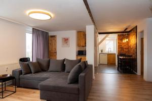 sala de estar con sofá y cocina en Rosewood - Apartment by Comfort Housing en Falkensee