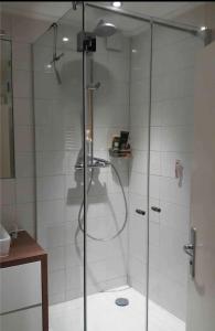 Ένα μπάνιο στο Tolle Inselwohnung mit Seeblick