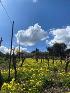 un campo con flores amarillas y una valla en Villa Stefania Dream en Érfoi