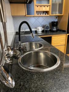 a stainless steel sink in a kitchen at Holiday Lido Cannobio in Cannobio