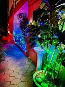 a house with a potted plant in a room with lights at Crystal Apartments and Hotel in Entebbe