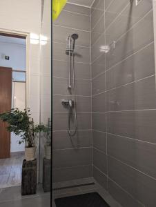 y baño con ducha con cabezal de ducha. en Villa Iva, en Rakovica