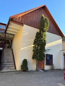 a building with a tree in front of it at Danarent Tilto in Vilnius