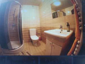 a bathroom with a toilet and a sink and a shower at Willa Mister J. in Dziwnów