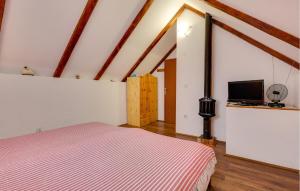 1 dormitorio con 1 cama y TV. en Nice Home In Veliki Grdevac With Kitchen 
