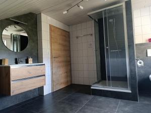 Un baño con ducha, lavabo y espejo. en Ferienwohnung Bauer, en Lam 11 fotos más