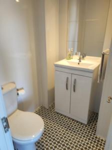 a bathroom with a white toilet and a sink at 4 Bayview terrace in Bundoran