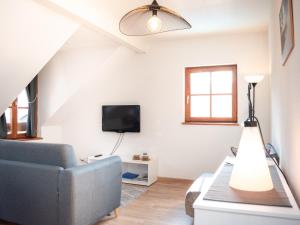 een woonkamer met een bank en een tv bij Appartement Vignec, 2 pièces, 4 personnes - FR-1-504-278 in Vignec
