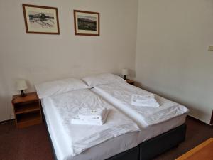 Katil atau katil-katil dalam bilik di Hotel Harrachov Inn