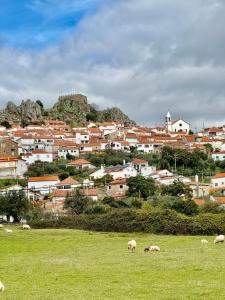 een groep schapen die grazen in een veld voor een stad bij A Casa Dos Avós in Penha Garcia