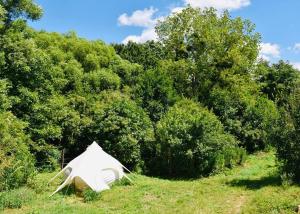 une tente blanche assise dans un champ à côté des arbres dans l'établissement GaiaMenedék Jurta, à Bakonynána