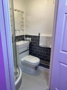 a small bathroom with a toilet and a sink at Luxury Urban Hideaway with private hot tub & Pole in Croydon