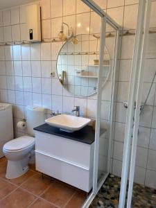 a bathroom with a sink and a toilet and a mirror at Ferienwohnung Idylle auf Fehmarn I in Vitzdorf