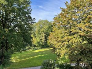 a park with green grass and trees and a road at Luxus Suite zur Therme in Bad Griesbach