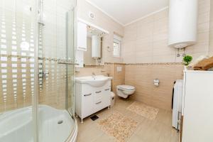 ein Bad mit einem WC, einem Waschbecken und einer Dusche in der Unterkunft Apartments Katarina in Ðenovići