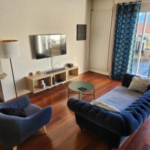 een woonkamer met een bank en een tv bij Magnifique logement spa in Pau