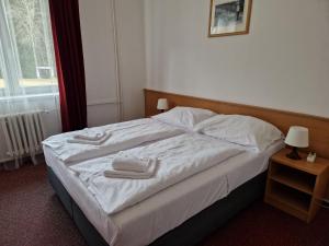 Katil atau katil-katil dalam bilik di Hotel Harrachov Inn