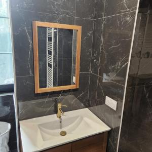 a bathroom with a sink and a mirror at Loveroom Pau in Pau +9 photos