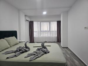Φωτογραφία από το άλμπουμ του Sea View Apartments Olimp Etajul 9 σε Olimp
