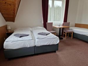 Katil atau katil-katil dalam bilik di Hotel Harrachov Inn